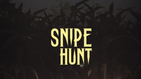 Snipe Hunt