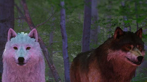 Wolf Simulator: Silent Paws