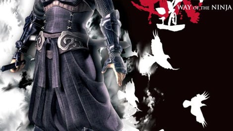 Shinobido: Way of the Ninja