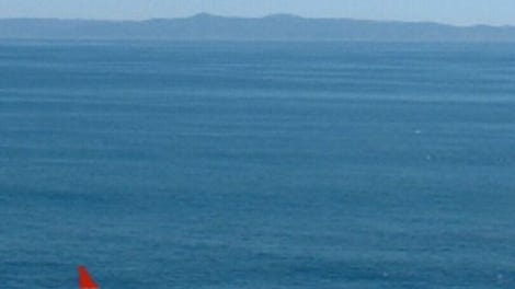 Save The Sailboat Race
