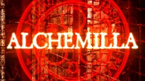 Alchemilla