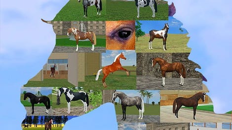 Jumpy Horse Breeding