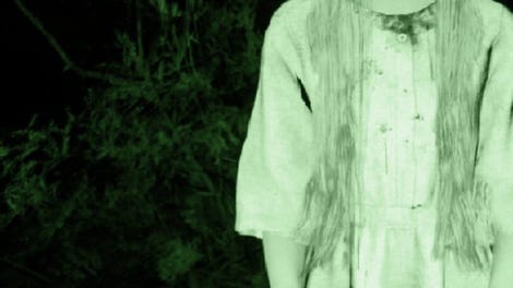 Bella: The girl in the Woods