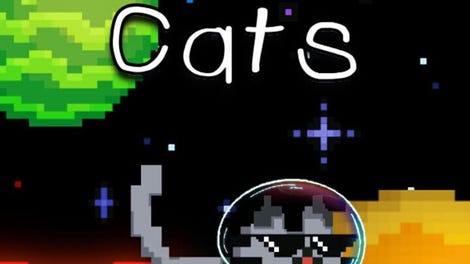 Space Cats