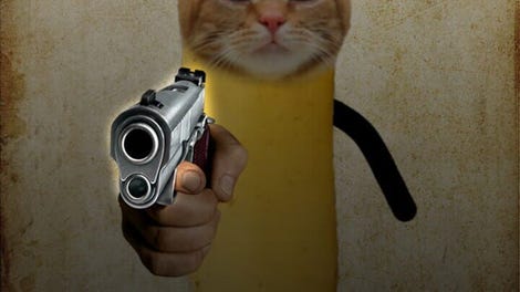 Banana Cat