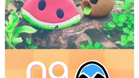 Nanomon
