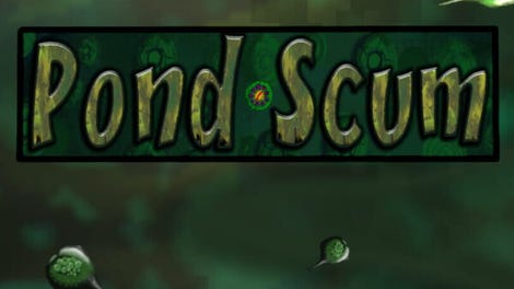 Pond Scum