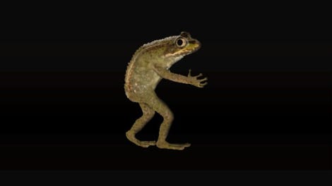 The Loveland Frog