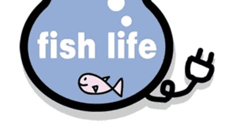 Fish Life