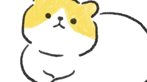 Weird Cat