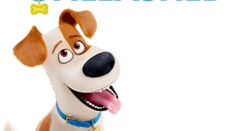The Secret Life of Pets: Unleashed