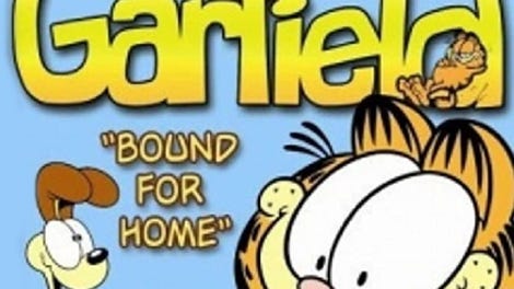 Garfield: Bound For Home