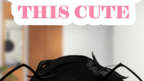 My Insect Girl Can't Be This Cute