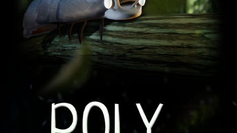 Roly Poly