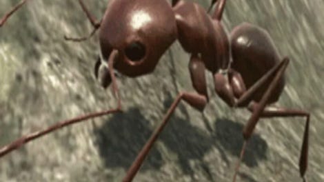 Ant Simulator 3D