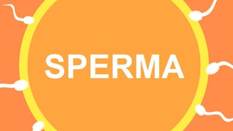 Sperma