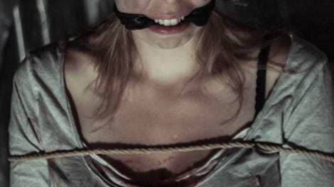The Fan