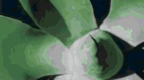 Sonic Mode: Exciter
