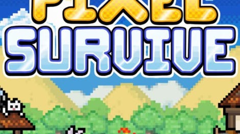 Ultra Pixel Survive
