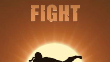 Shadow Fight