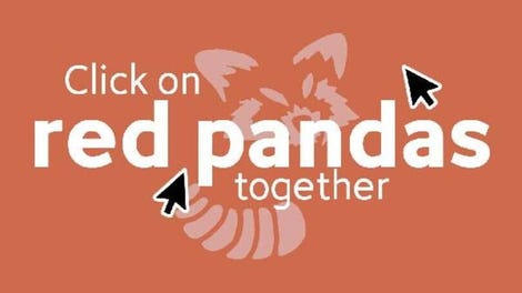 Click On Red Pandas Together