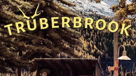 Trüberbrook