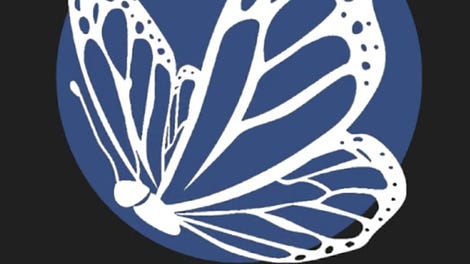 The Butterfly Dreams