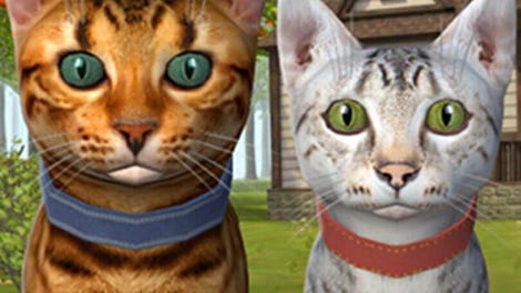 Cat Simulator: Animals on Farm