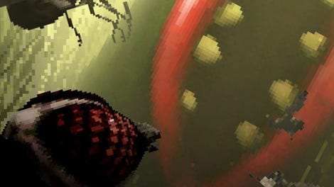 The Hungry Fly