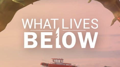 What Lives Below