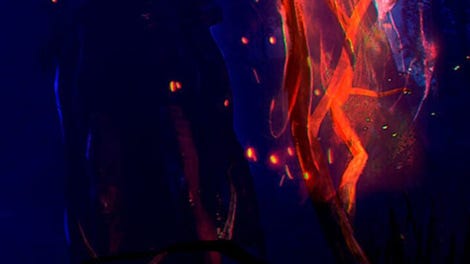 The Untold Legends: Baba Yaga