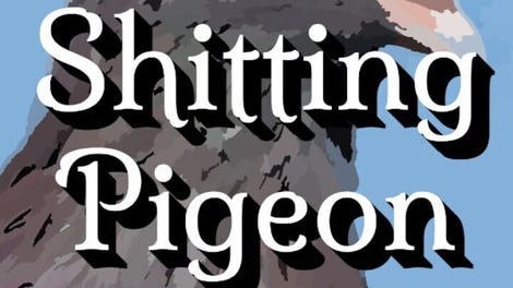 Shitting Pigeon