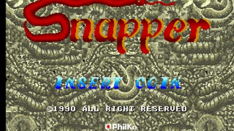 Snapper
