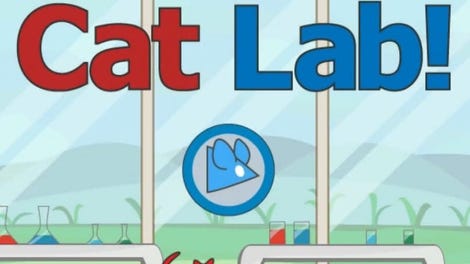 Cat Lab!