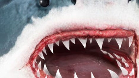 Ultimate Shark Simulator