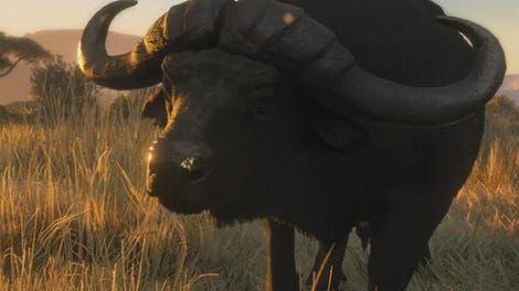 TheHunter: Call of the Wild - Vurhonga Savanna
