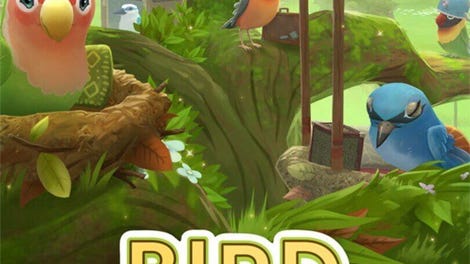 Bird BnB