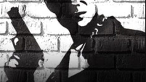 Max Payne Mobile