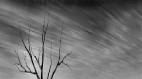The Outer Darkness