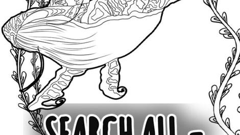 Search All: Seashells