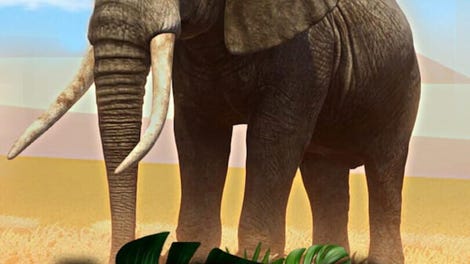 Wild Jigsaw VR