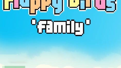 Flappy Birds Family