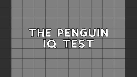 The Penguin IQ Test