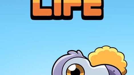 Dodo Life