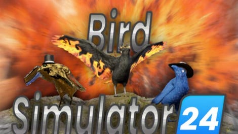 Bird Simulator 24