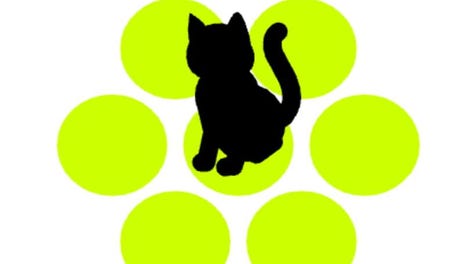 Chat Noir