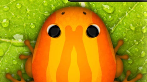 Pocket Frogs