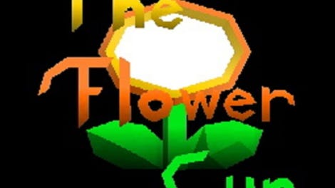 Super Luigi 64: The Flower Cup