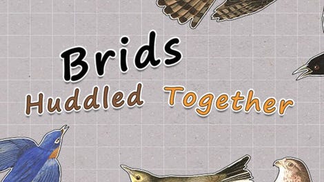 Brids Huddled Together