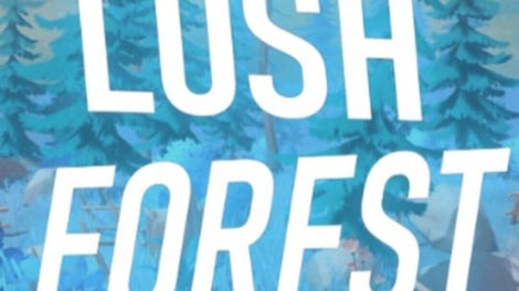 Lush Forest